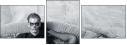 71423246