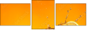71566092