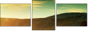 71944814
