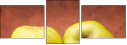 72103606
