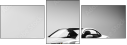 72232256
