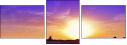 72306862