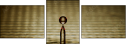 73056406
