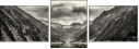 73210814
