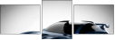 73705056