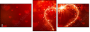 74953593
