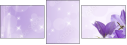 74959001