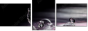75116063