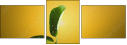 75277483
