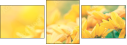 75458724