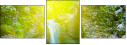75460842