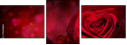 75608886