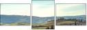 75685044