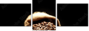 75743507