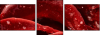 75798905