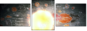 75977891