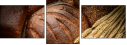 76000562