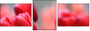 76096373