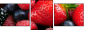 7610026