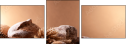 76233113