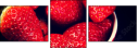 76277931