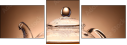 77315677