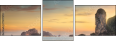 77497278