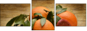 78022660