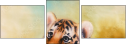 78189357