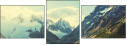 78253266