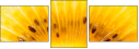 78671231