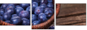 79175349