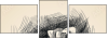 80036586