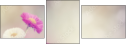 84071220