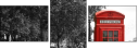 8421281