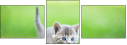 85494718