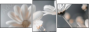 877089715
