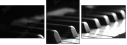 933937739