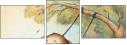 94443803