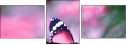 95266681