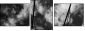 998443