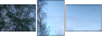 9994394