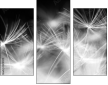 23180311