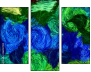 262127014