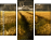 27477176