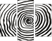 324703304