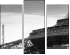 33444308