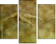 35198447