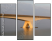 36477727