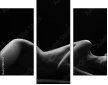 38857159